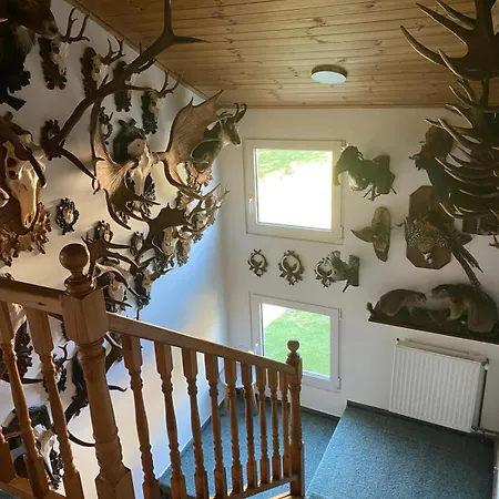 Apartment U Hajcusu